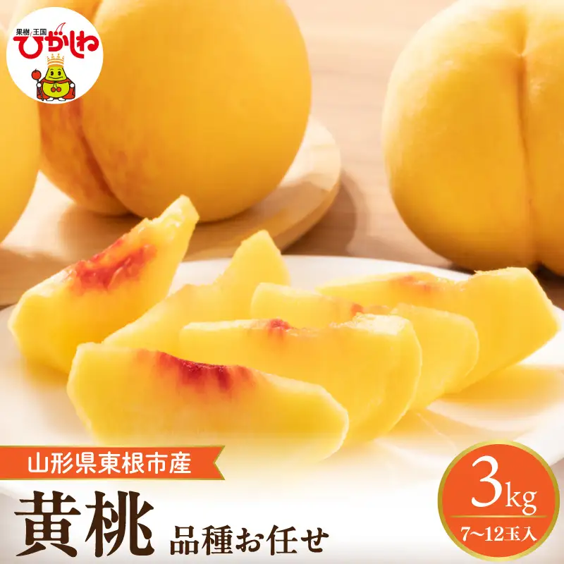 【2026年産】採れたて黄桃(品種お任せ)約3kg (7～12玉)もも