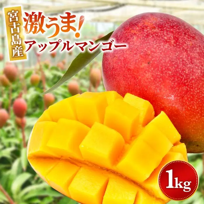 ＜2026年夏発送＞【家庭用】激うま！宮古島産アップルマンゴー1kg(2～3玉)ふれあいフルーツ宮古島(FA01)