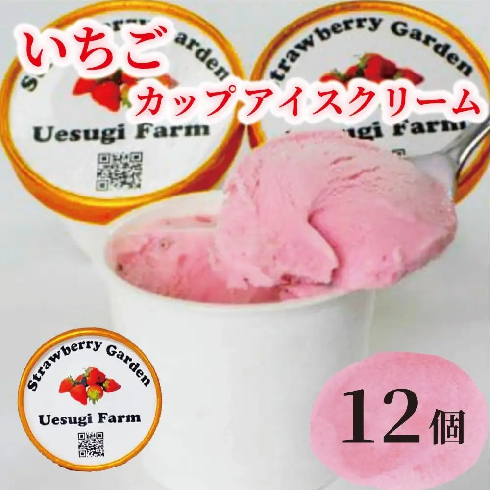 いちご農家のひんやりアイス カップアイス 12カップ いちご 苺 イチゴ いちごアイスクリーム アイス アイスクリーム カップアイス 冷たい ひんやり セット 人気 おすすめ ふるさと納税 京都 八幡 八幡市 上杉農園