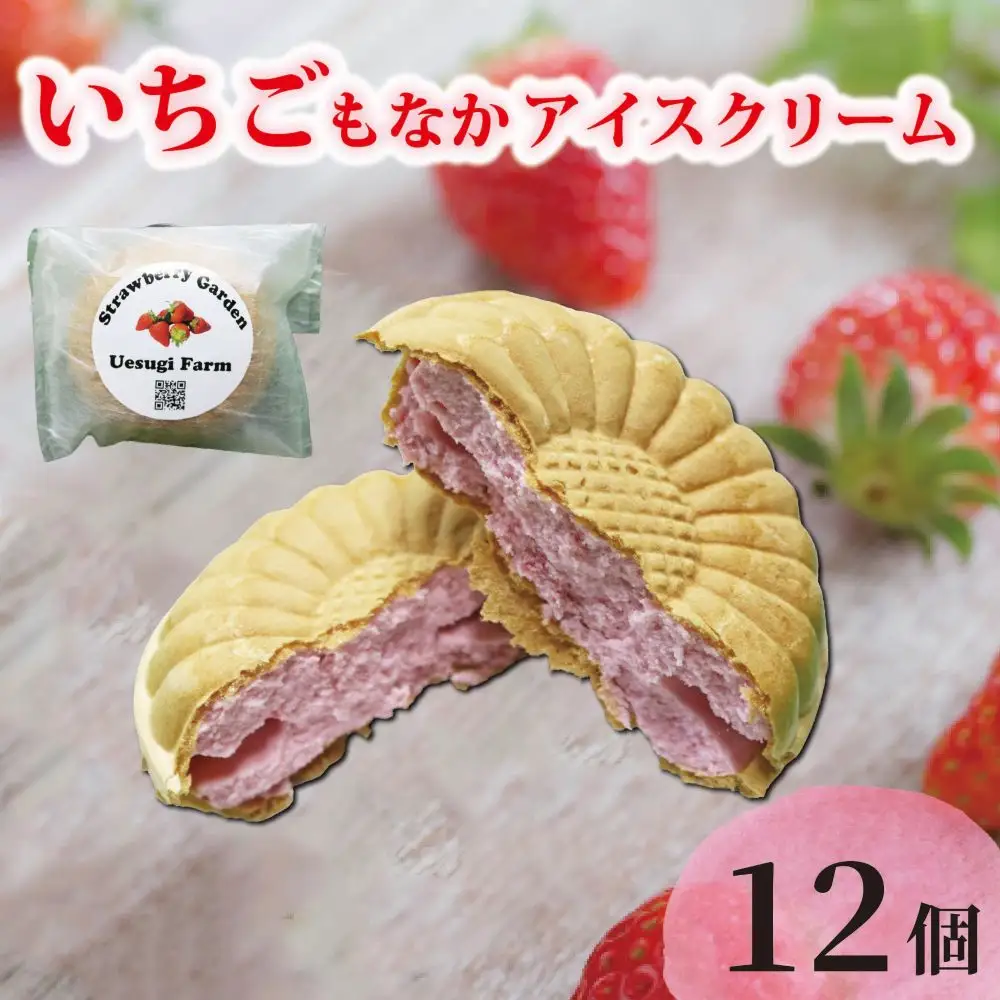 いちご農家のひんやりアイス 最中アイス12個 いちご 苺 イチゴ いちごアイスクリーム アイス アイスクリーム 最中アイス 最中 もなか モナカ 冷たい ひんやり セット 人気 おすすめ ふるさと納税 京都 八幡 八幡市 上杉農園