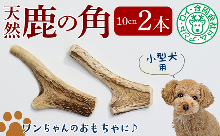 【犬のおもちゃ】シカの角 10cm×2本　小型犬用