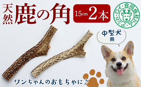 【犬のおもちゃ】シカの角 15cm×2本　中型犬用