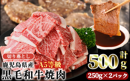 A5 等級 鹿児島県産 黒毛和牛 焼肉 切落し (計500g・250g×2パック) 切り落とし 焼肉 黒毛和牛【カミチク】A1004