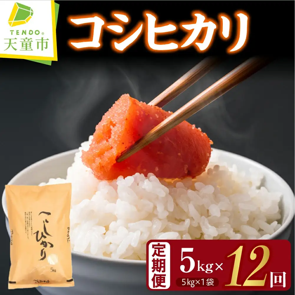 コシヒカリ 定期便 ( 5kg × 1袋 ) 12回 お届け 米 精米 山形