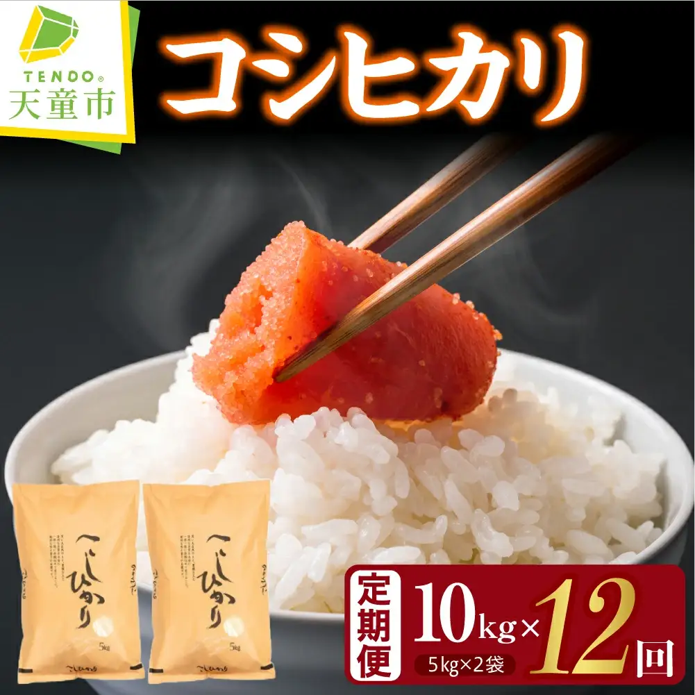 コシヒカリ 定期便 ( 5kg × 2袋 ) 12回 お届け 米 精米 山形