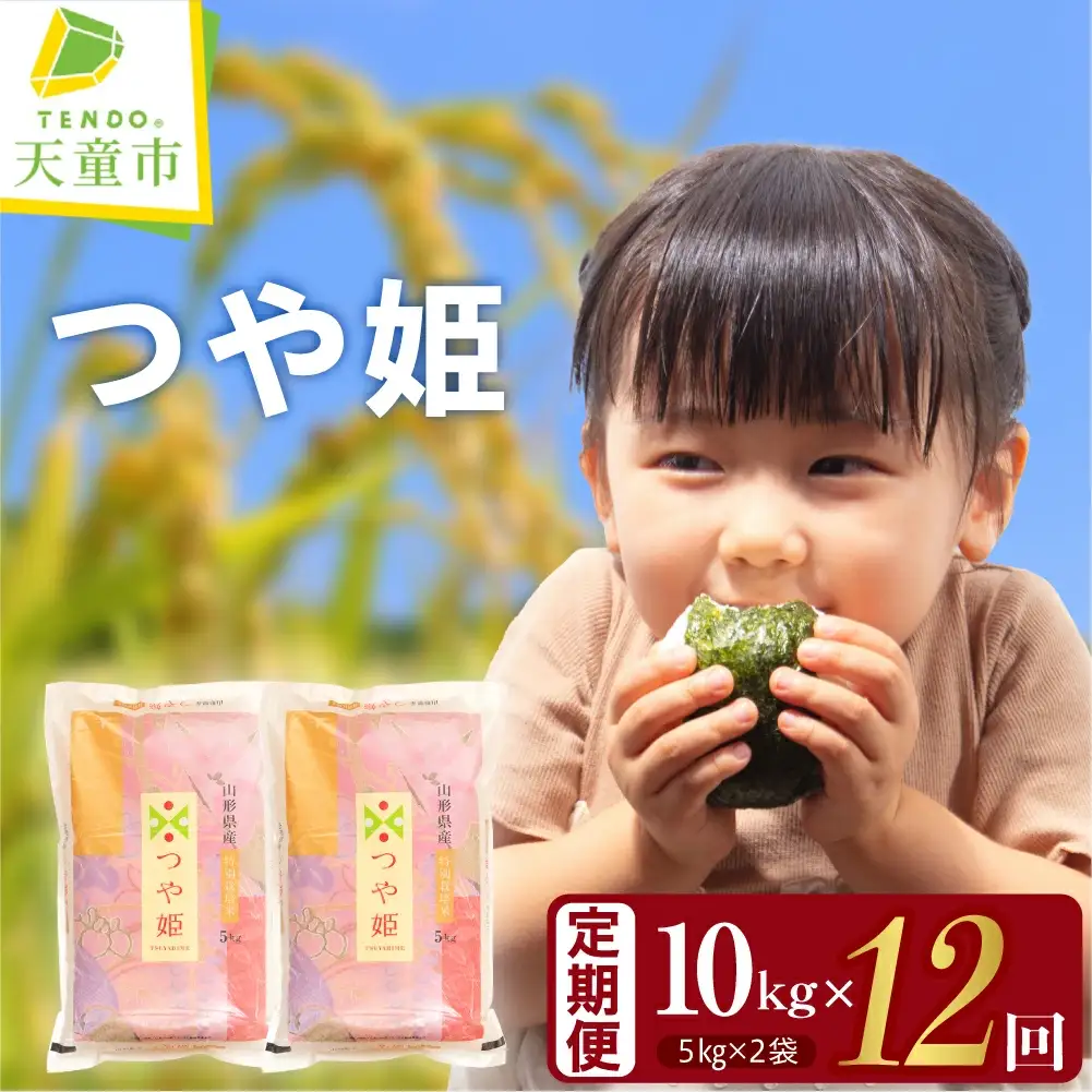 つや姫 定期便 ( 5kg × 2袋 ) 12回 お届け 米 精米 山形 08-30-052