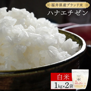 【定期便6回】ハナエチゼン 精米 2kg（1kg×2）令和7年産 [095-t06-a210]
