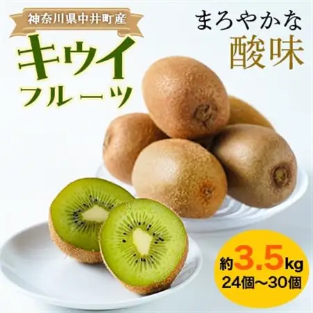 【農薬不使用】ミネラルたっぷり中井町産キウイフルーツ約3.5kg【配送不可地域：離島】【1055342】