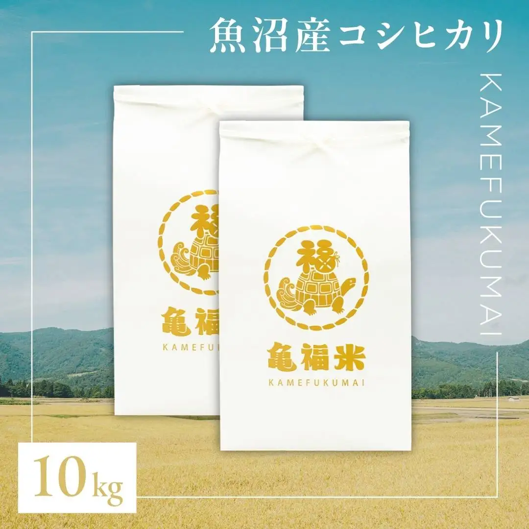 魚沼産コシヒカリ 亀福米 10kg(5キロ×2袋)  特別栽培 | 津南町 魚沼 令和7年