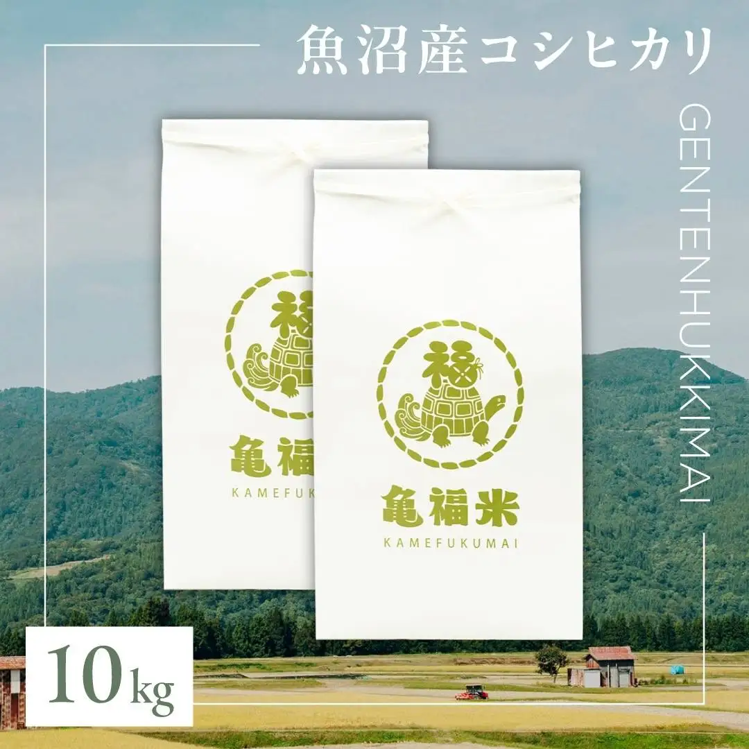魚沼産コシヒカリ 亀福 原点復帰米 10kg(5キロ×2袋) 特別栽培 |津南町 魚沼 令和7年
