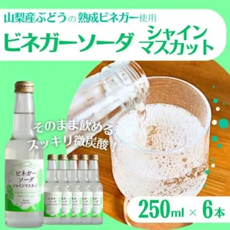 山梨産ぶどう100%の熟成ビネガーの、そのまま飲める「ビネガーソーダシャインマスカット6本セット」【1658078】