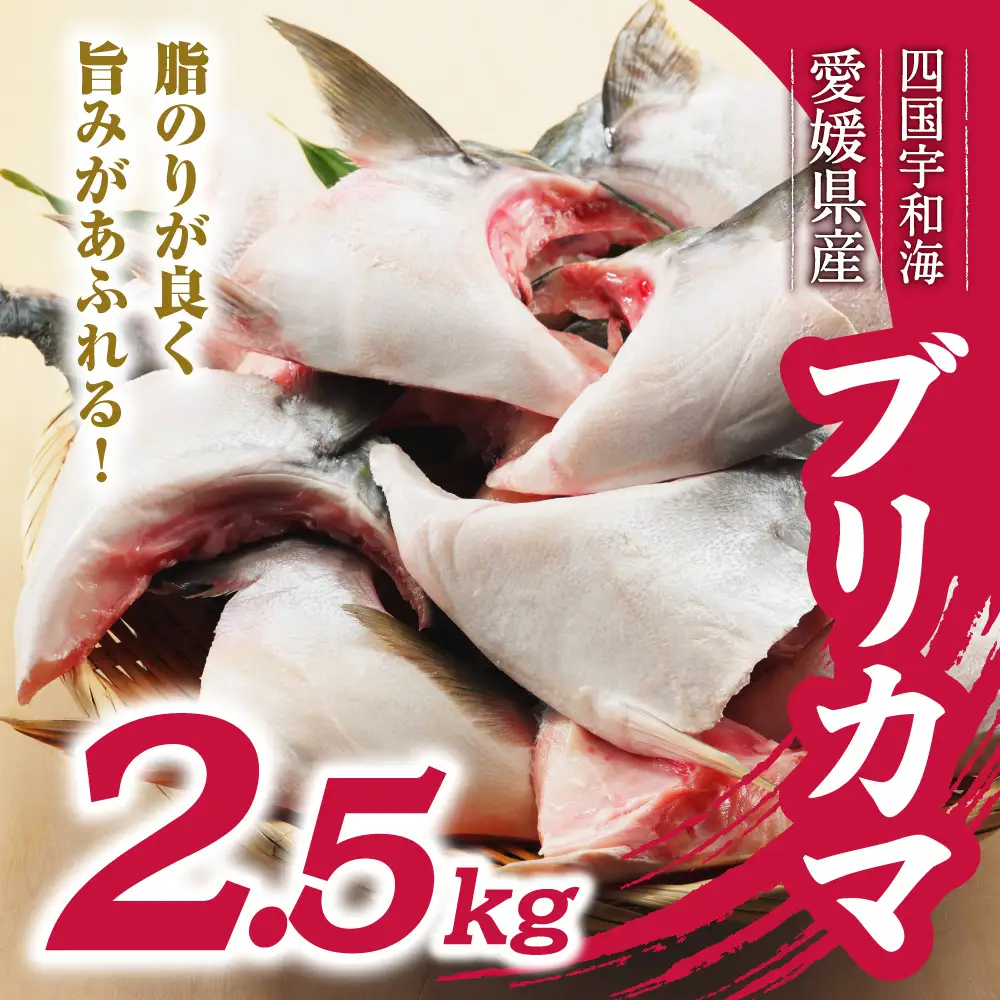 数量限定 ブリカマ 2.5kg