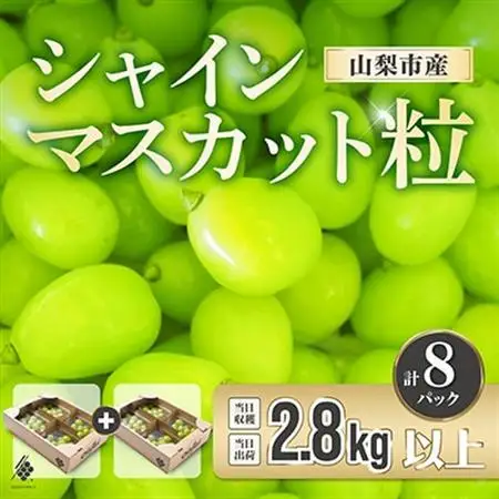 シャインマスカット 粒 約2.8kg 訳あり ぶどう 粒カット【配送不可地域：離島・沖縄県】【1687784】