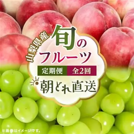 【発送月固定定期便】 旬のフルーツ定期便　桃2kg・シャインマスカット全2回【配送不可地域：離島・沖縄県】【4076701】