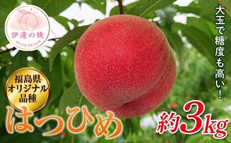 【2026年出荷分先行予約】福島県産 はつひめ 約3kg (10～15玉) 斎藤果樹園 オリジナル品種 伊達の桃 桃 フルーツ 果物 もも モモ momo  F21C-302