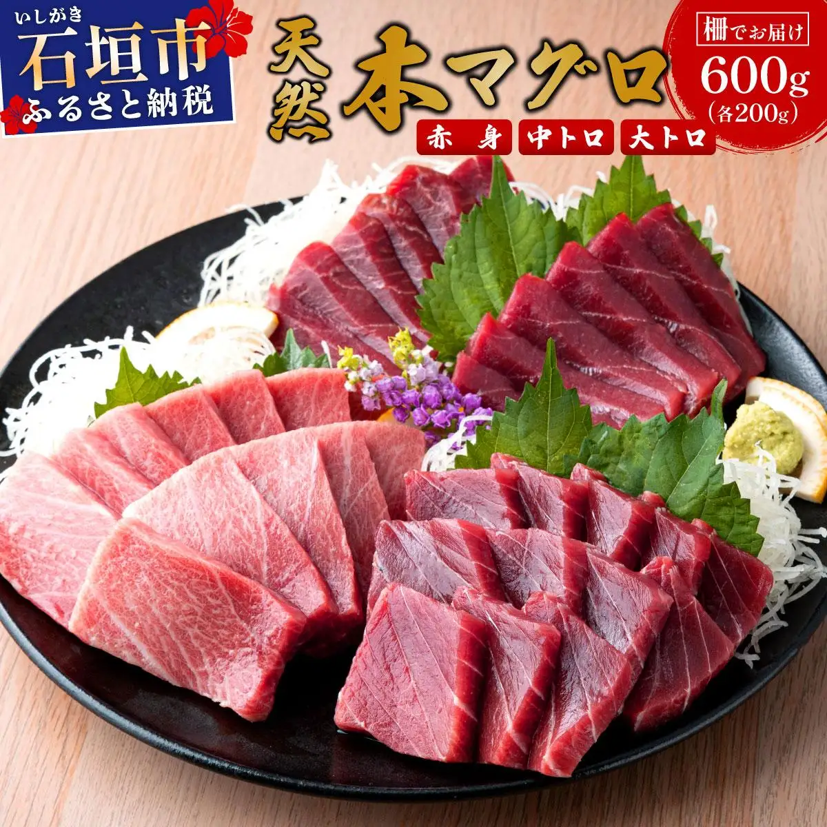 石垣島産 天然本マグロ 600g (まぐろ赤身・中トロ・大トロ) 
