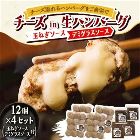チーズ in 生ハンバーグ 12個×4(玉ねぎソース150g、デミグラスソース250g 各2個)【配送不可地域：離島】【1673882】