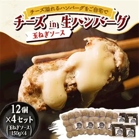 チーズ in 生ハンバーグ 12個×4セット+玉ねぎソース150g×4【配送不可地域：離島】【1673890】
