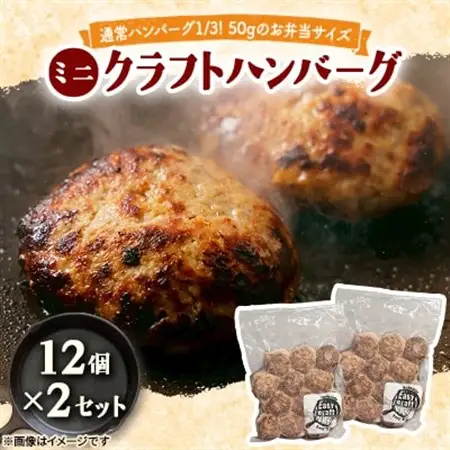 ミニクラフトハンバーグ (12個入り×2セット)【配送不可地域：離島】【1673892】