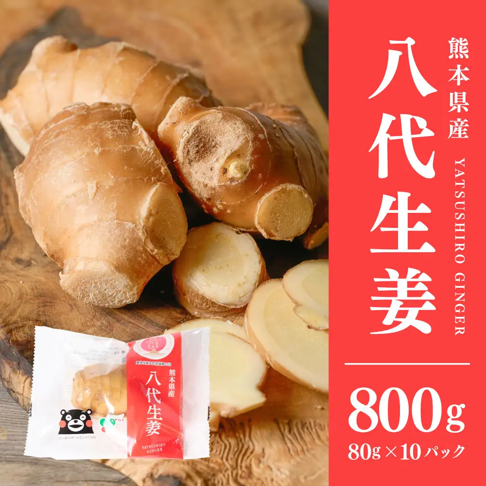 八代生姜80g×10パック 合計800g しょうが ショウガ ガリ ジンジャー 野菜 食品 薬味 生姜焼き しょうが焼き 温活 冷え性 対策 熊本県 八代市 東陽町 産地直送 国産