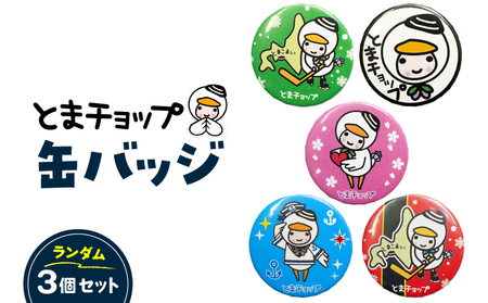 缶バッジ 3個 セット （ 柄 おまかせ ） T042-011 雑貨 ランダム