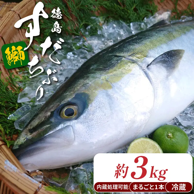 ぶり ラウンド すだちぶり 丸ごと1本 約3kg 冷蔵 徳島 養殖 