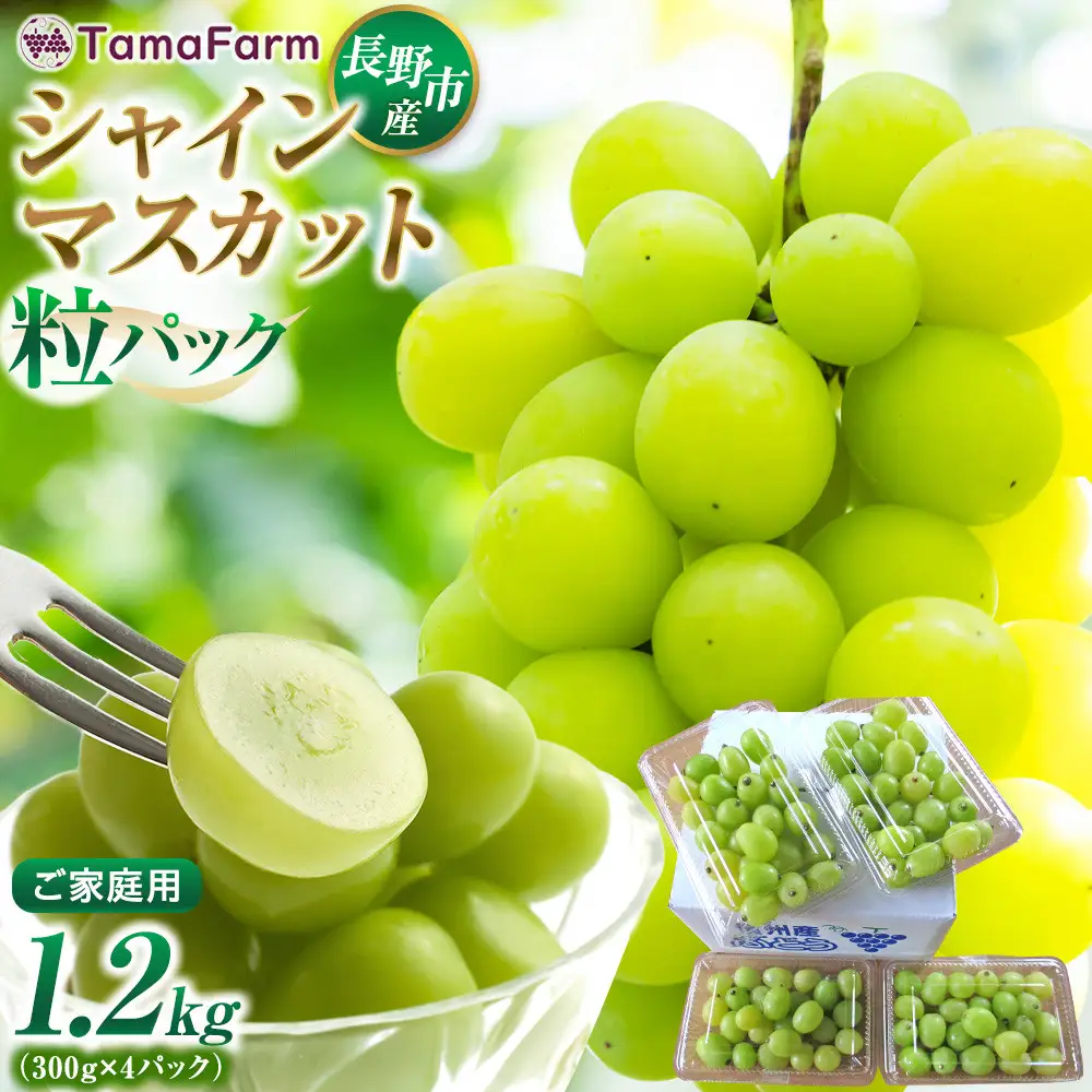 長野市産 シャインマスカット 粒パック ご家庭用 1.2kg（300g×4パック） | シャインマスカット ぶどう 葡萄 フルーツ 