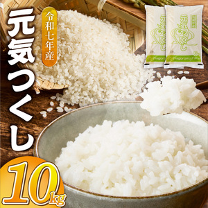 2025年新米 羽衣農園 元気つくし 白米 10kg（5kg×2） _ 2025年 新米 5kg × 2袋 計 10kg 福岡県産 精米 ブランド米 銘柄米 つやつや モチモチ 程よい粘り 冷めても美味しい ご飯 白ご飯 おにぎり 弁当 お米 食品 お取り寄せ 福岡県 久留米市 送料無料  〔Gr075〕