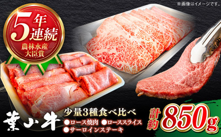 葉山牛 少量3種食べ比べセット(ロース・ローススライス・サーロインステーキ)[ASBD019]