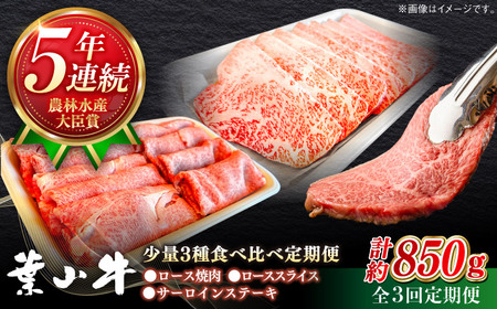 【全3回定期便】葉山牛 少量3種食べ比べセット 牛肉(ロース・ローススライス・サーロインステーキ)[ASBD024]