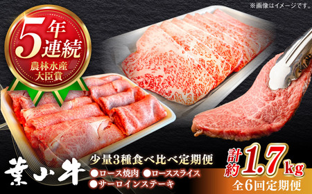 【全6回定期便】葉山牛 少量3種食べ比べセット 牛肉(ロース・ローススライス・サーロインステーキ)[ASBD025]