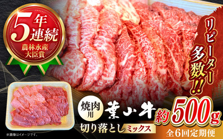 【全6回定期便】葉山牛500g　焼肉用ミックス 牛肉（ロース、モモ、カルビ等） 食べ比べ[ASBD029]