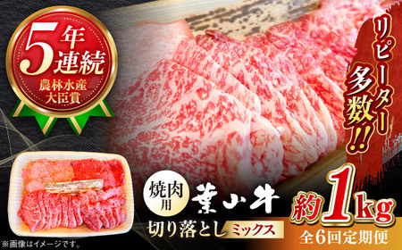 【全6回定期便】葉山牛1kg　焼肉用ミックス 牛肉（ロース、モモ、カルビ等 4種類 ) 食べ比べ[ASBD035]