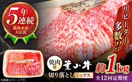 【全12回定期便】葉山牛1kg　焼肉用ミックス 牛肉（ロース、モモ、カルビ等 4種類 ) 食べ比べ[ASBD036]