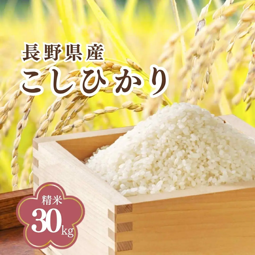 コシヒカリ 精米 30kg 令和7年産｜ コシヒカリ 千曲市 長野県 信州