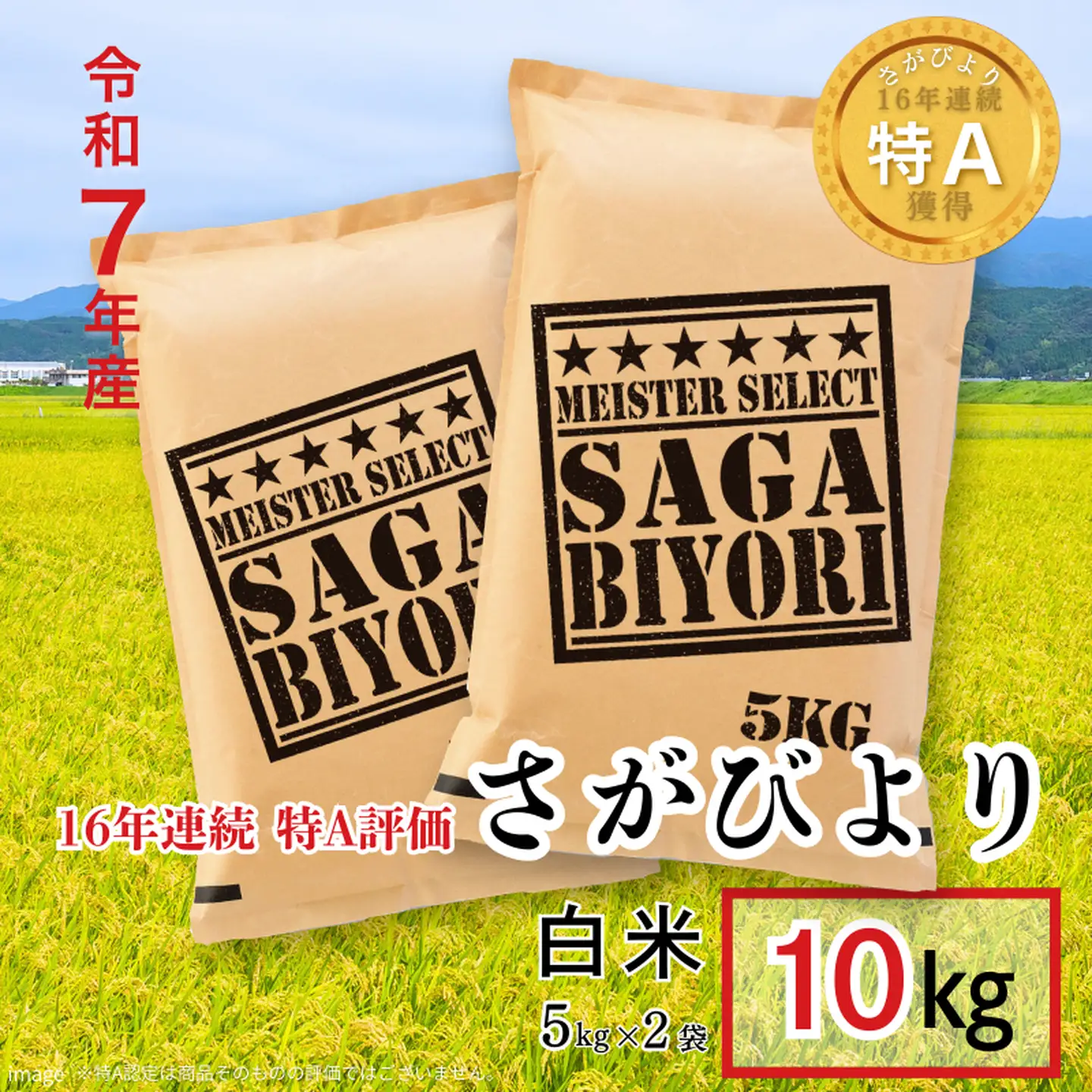 五つ星お米マイスターが厳選！令和7年産 佐賀県産 さがびより 白米 10kg（5kg×2袋）おこめ 米 ：B320-015