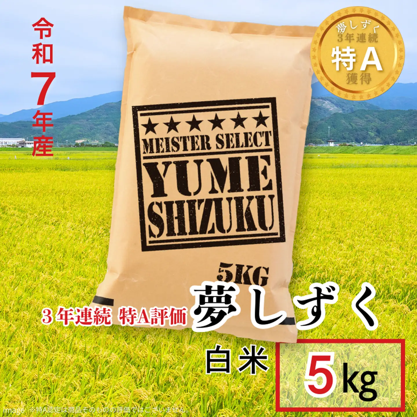 五つ星お米マイスターが厳選！令和7年産 佐賀県産 夢しずく 白米 5kg おこめ 米 ：B175-018