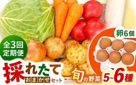 【全3回定期便】採れたてお野菜おまかせ（5～6種）・卵6個セット/ 野菜 やさい 野菜セット 野菜詰め合わせ 詰め合わせ セット たまご 卵 タマゴ 紅たまご こだまさんち / 大村市 / かとりストアー[ACAN129]