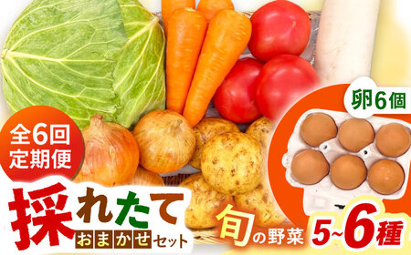 【全6回定期便】採れたてお野菜おまかせ（5～6種）・卵6個セット/ 野菜 やさい 野菜セット 野菜詰め合わせ 詰め合わせ セット たまご 卵 タマゴ 紅たまご こだまさんち / 大村市 / かとりストアー[ACAN130]