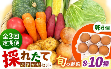 【全3回定期便】採れたてお野菜おまかせ（8～10種）・卵6個セット/ 野菜 やさい 野菜セット 野菜詰め合わせ 詰め合わせ セット たまご 卵 タマゴ 紅たまご こだまさんち / 大村市 / かとりストアー[ACAN136]