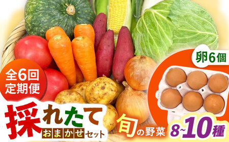 【全6回定期便】採れたてお野菜おまかせ（8～10種）・卵6個セット/ 野菜 やさい 野菜セット 野菜詰め合わせ 詰め合わせ セット たまご 卵 タマゴ 紅たまご こだまさんち / 大村市 / かとりストアー[ACAN137]