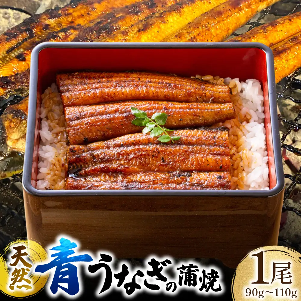 熊本県 八代市産 天然青うなぎの蒲焼 蒲焼セット 1尾（90g～110g） 自家製うなぎのタレ 鰻 ウナギ うなぎの蒲焼 丑の日 国産 うな丼 うな重