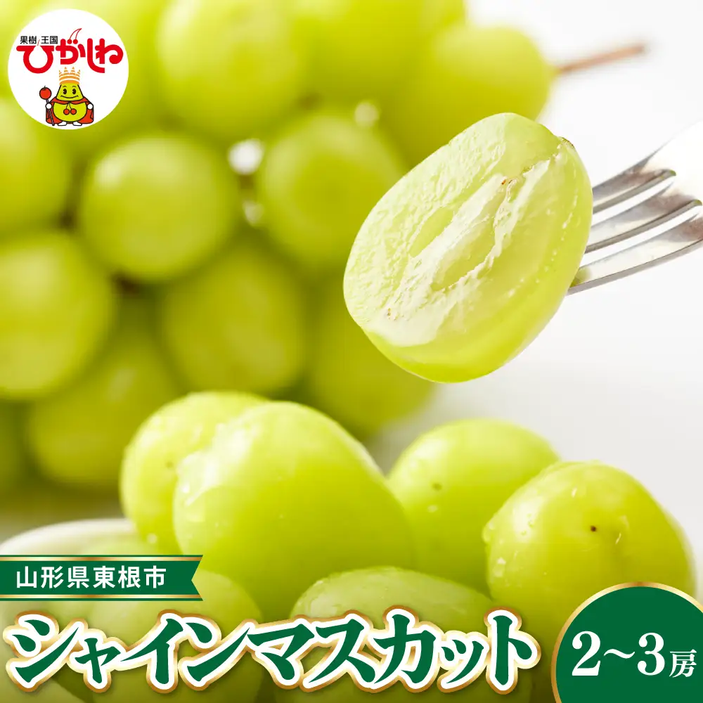 【2026年産】東根産 シャインマスカット約1.2~1.3kg ぶどう