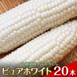 【2026年8月中旬発送開始】北海道産とうもろこし（ピュアホワイト20本） EB8-0447