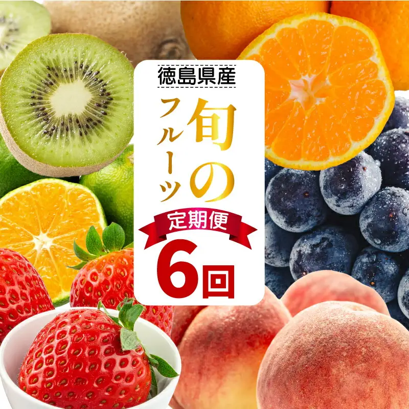 フルーツ 定期便 6ヶ月 フルーツ