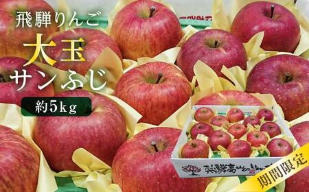 【先行予約 12月上旬～下旬発送】飛騨りんご 約5kg 12-14玉 | 飛騨高山産 数量限定 先行予約 完熟 蜜入り 大玉 サンふじ リンゴ 飛騨リンゴ 林檎 蜜リンゴ フルーツ 果物 秋冬 飛騨高山 山本果樹園 MA010