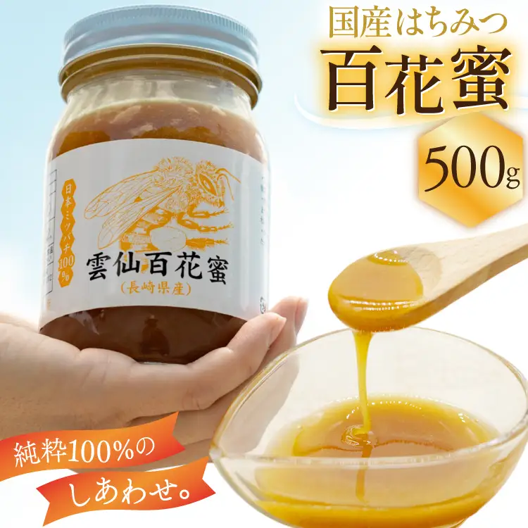 AJ445 はちみつ 国産 百花蜜 500g 1個 日本ミツバチ 純粋 100% [ 安中梅林を育てる会 蜂蜜 ハチミツ 非加熱 無添加 長崎県 島原市 ]