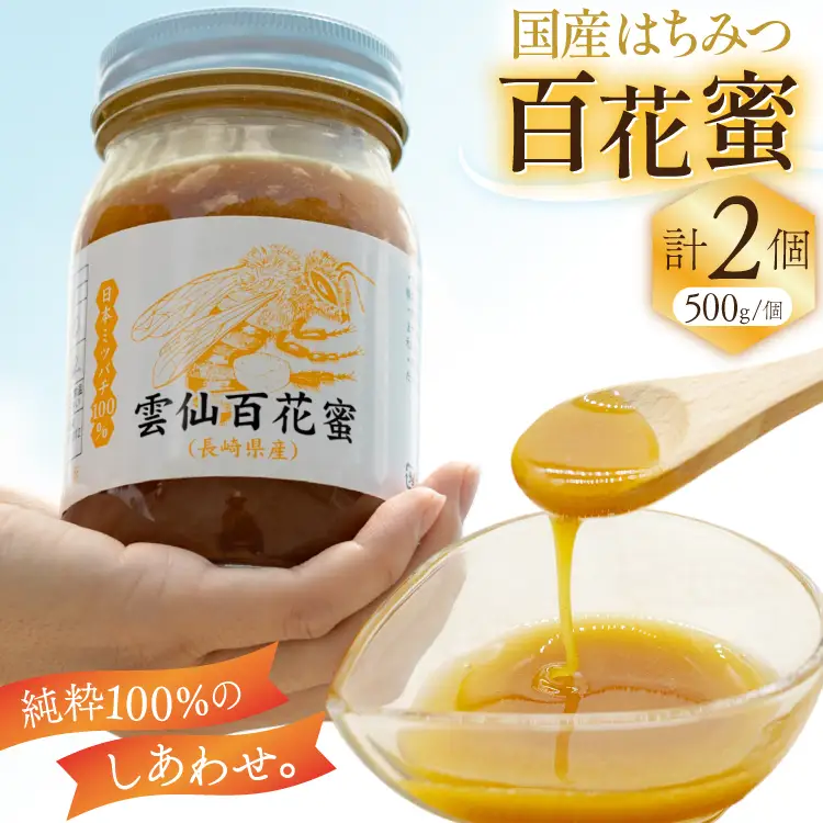 AJ446 はちみつ 国産 百花蜜 500g 2個 日本ミツバチ 純粋 100% [ 安中梅林を育てる会 蜂蜜 ハチミツ 非加熱 無添加 長崎県 島原市 ]