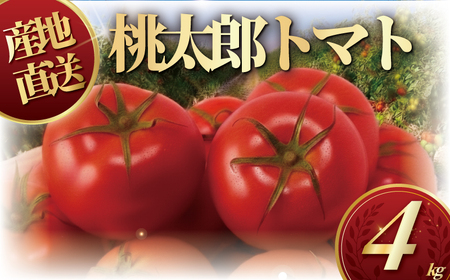 ハウス桃太郎トマト4kg トマト