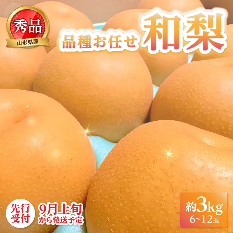 《先行受付》★山形産和梨（品種お任せ）★約3kg(6～12玉程度)秀品【2026年9月頃～順次発送予定】 063-015